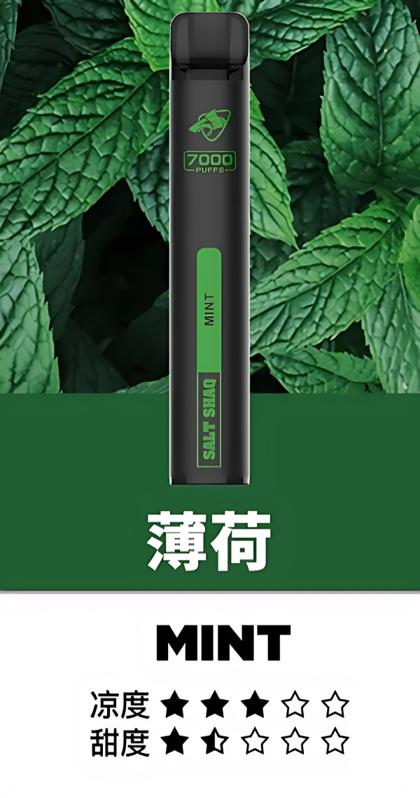 【鯊克 SALT SHAQ 】 買5送一 7000口（拋棄式、一次性) 多種水果口味 臺灣現貨 - 图片 12