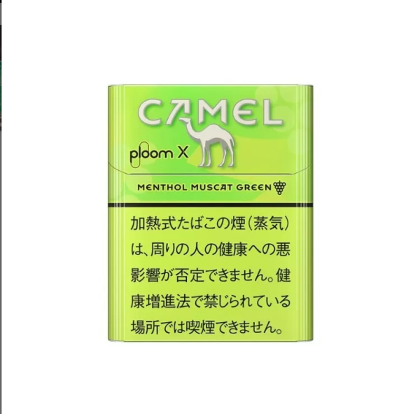 PLOOM菸彈 七星加熱煙 駱駝加熱菸 NHB加熱不燃燒 台灣電子煙批發 711到付 台湾现货 - 图片 2