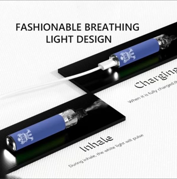 將軍S1 DISPOSABLE BARS 一次性註油電子煙主機 拋棄式電子煙 可重複註油 台灣電子煙批發 台灣現貨 - 图片 5