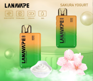LANA TREND 6000 PUFFS   一次性6000口