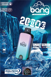 Bang 25000 Puffs 拋棄式一次性電子煙