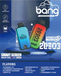 Bang 25000 Puffs 電子煙