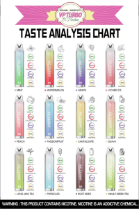 VP Turbo 6000 Puffs 一次性 電子煙