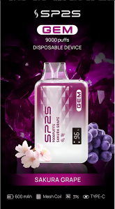 SP2S 9000 PUFFS 抛物式 9000口