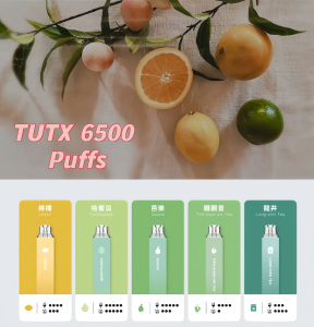 【TUTX 6500 Puffs】抛棄式電子煙